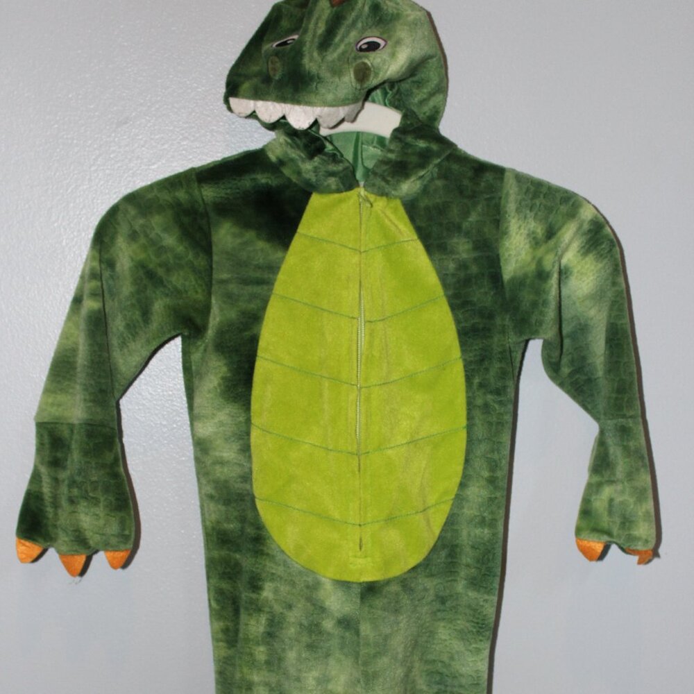 Dragon zip up costume